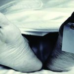 5b4c43597f3512018-07-1607_03_53