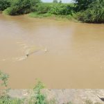 WhatsApp Image 2021-09-30 at 17.22.33