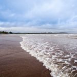 464740619-56a3c1e35f9b58b7d0d39b7b