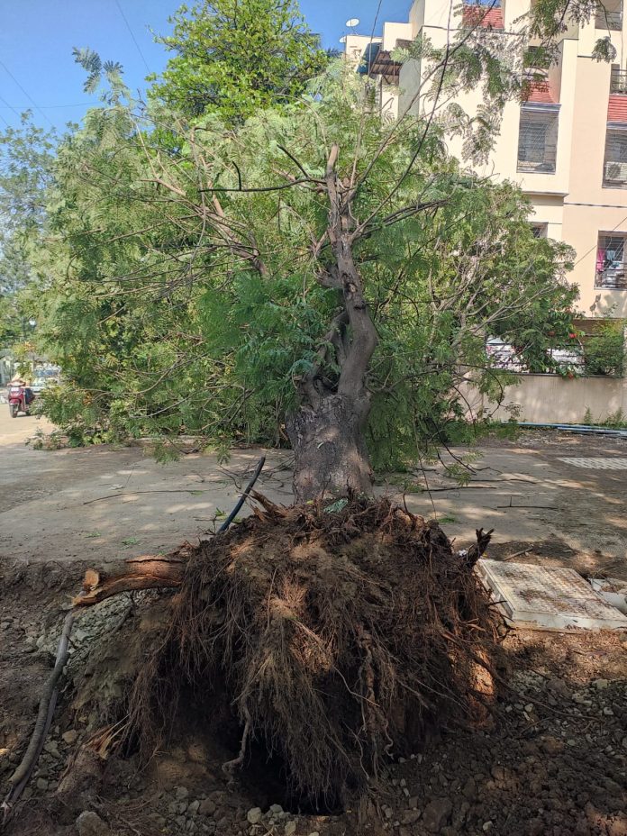 WhatsApp-Image-2025-10-29-at-3.03.55-PM