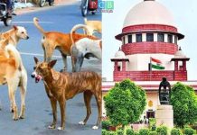 भटक्या कुत्र्यांचा त्वरीत बंदोबस्त करा,सर्वोच्च न्यायालयाचे आदेश