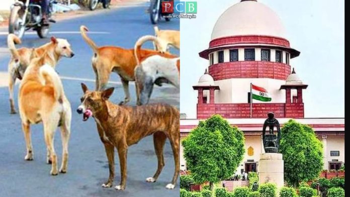 WhatsApp-Image-2025-11-08-at-2.13.02-PM