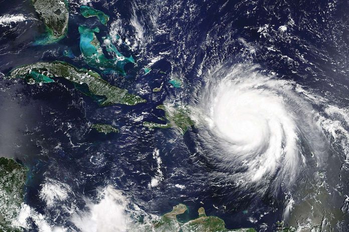 41558_2019_537_Fig1_HTML