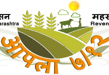 डिजीटल सातबाऱ्याविषयी मोठा निर्णय