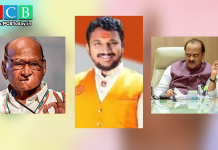 शरद पवार सिंह आणि अजित पवार वाघ,आम्ही लांडग्यांकडे लक्ष देत नाही-आमदार अमोल मिटकरींचा टोला