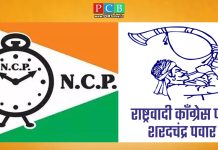 दोन्ही राष्ट्रवादी काँग्रेसच्या विलिनीकरणावर महत्वाची अपडेट