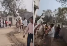 घोड्यावर बसण्याचा “गुन्हा”; दलित वरावर तलवारींचा हल्ला, सामाजिक विषमतेचे भीषण वास्तव पुन्हा उघड