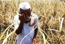 शेतकरी कर्जमाफीवर संभ्रम; अतिवृष्टीग्रस्तांना लाभ मिळणार का?